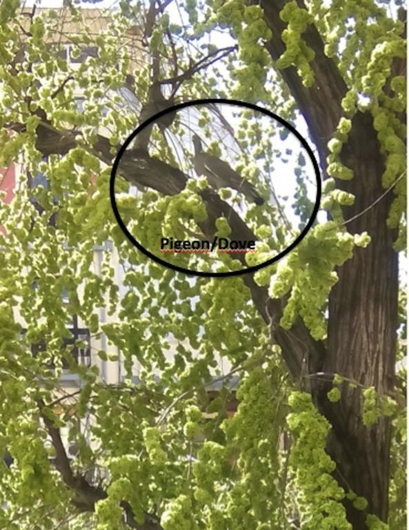 Madrid Downtown Chamberi Διαμέρισμα Εξωτερικό φωτογραφία